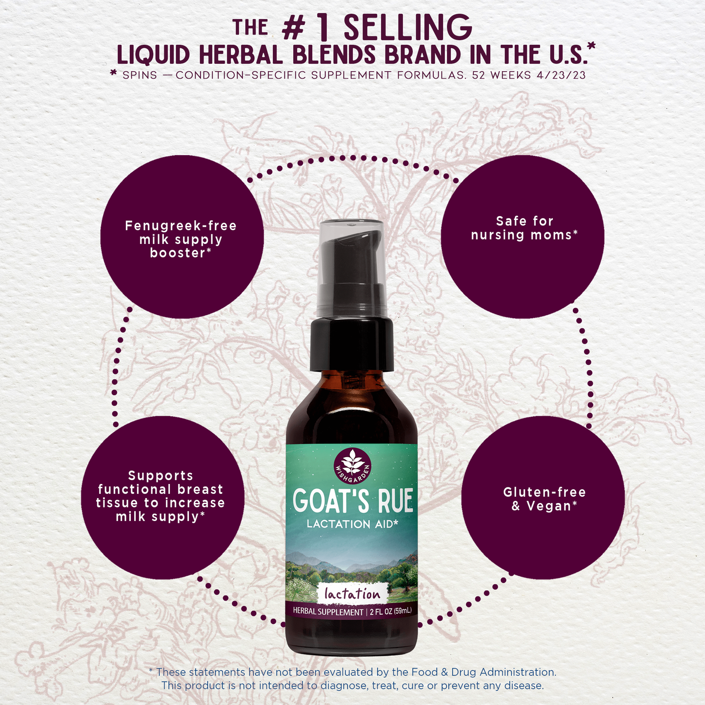 Goat's Rue, Lactation Aid