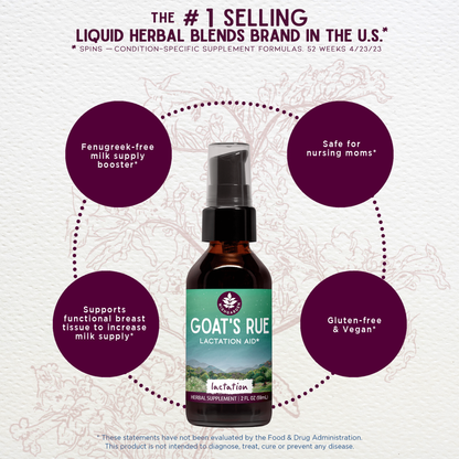 Goat's Rue, Lactation Aid