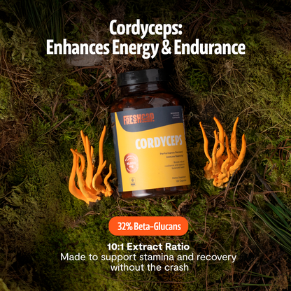 Capsules d'extrait de champignon Cordyceps