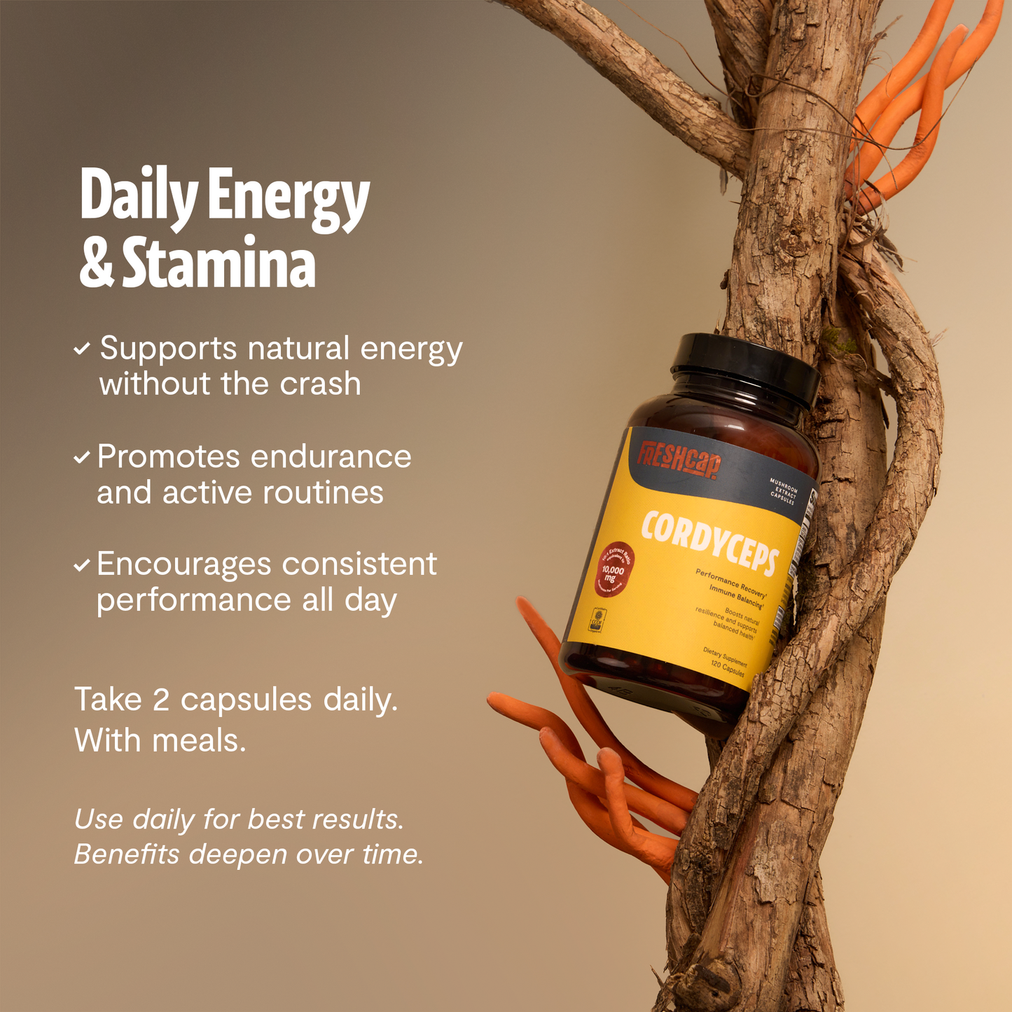 Capsules d'extrait de champignon Cordyceps