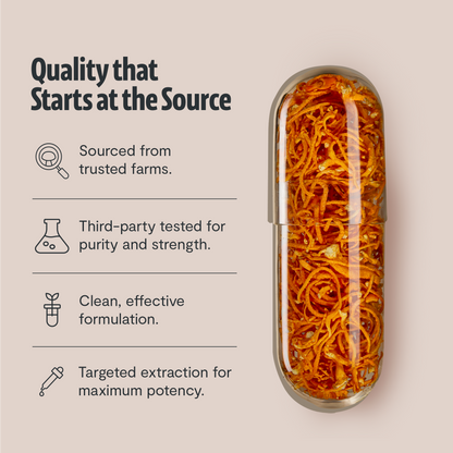 Capsules d'extrait de champignon Cordyceps