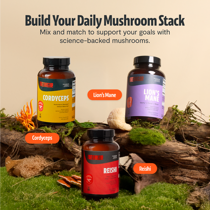 Capsules d'extrait de champignon Cordyceps