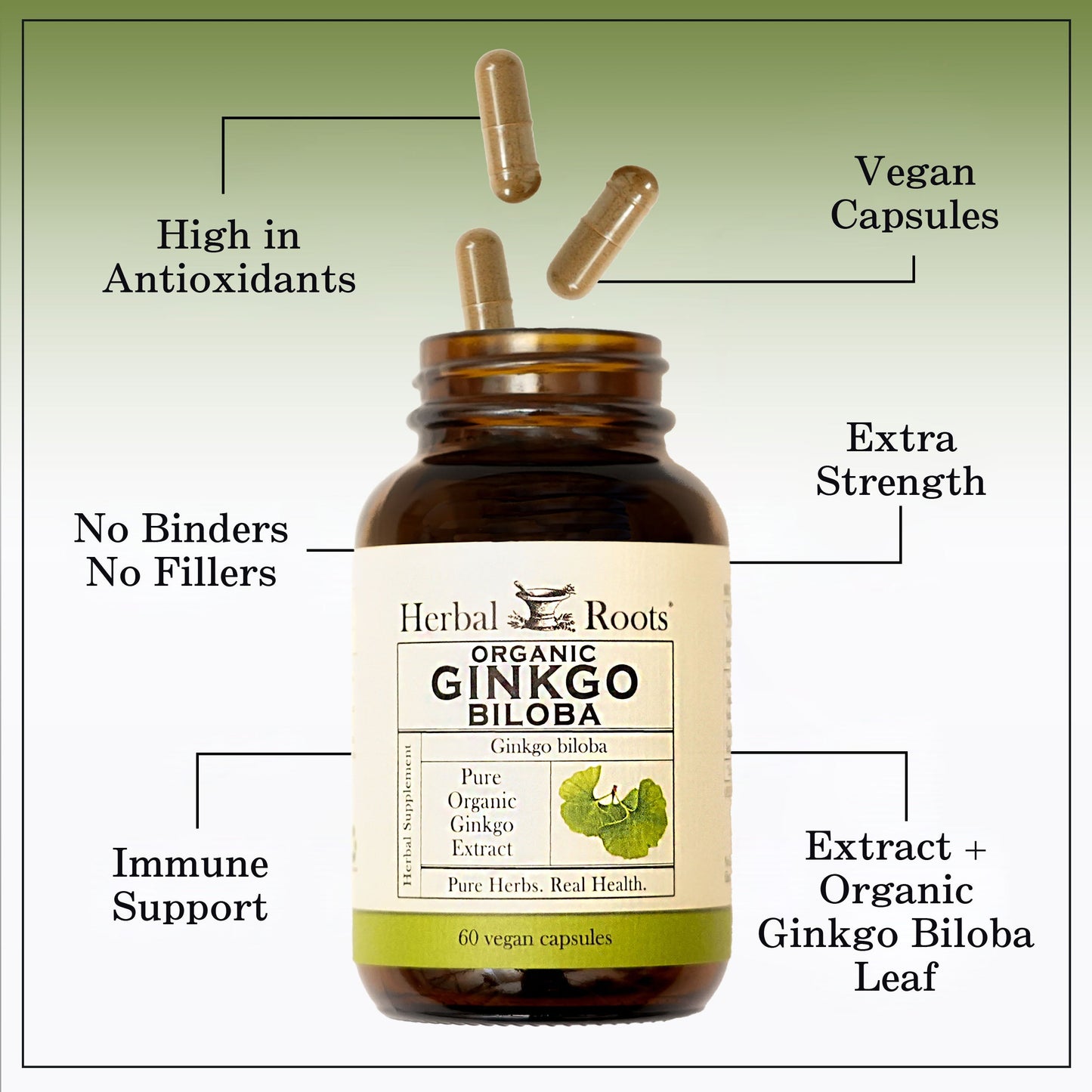 Organic Ginkgo Biloba