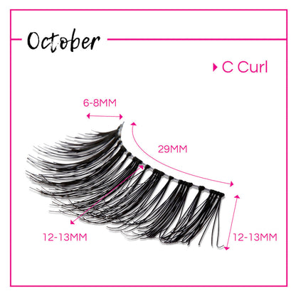 GladGirl False Lashes Bundle - October
