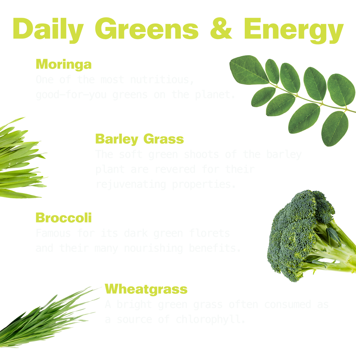 Super Greens & Moringa Gummies for Energy