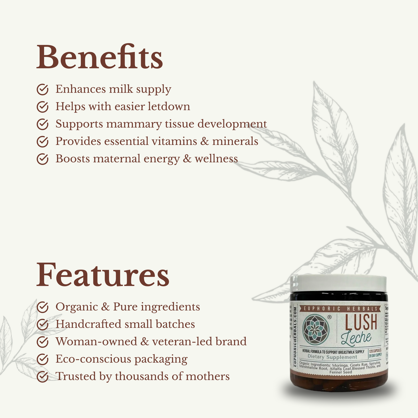 Lush Leche - Breastfeeding Supplement