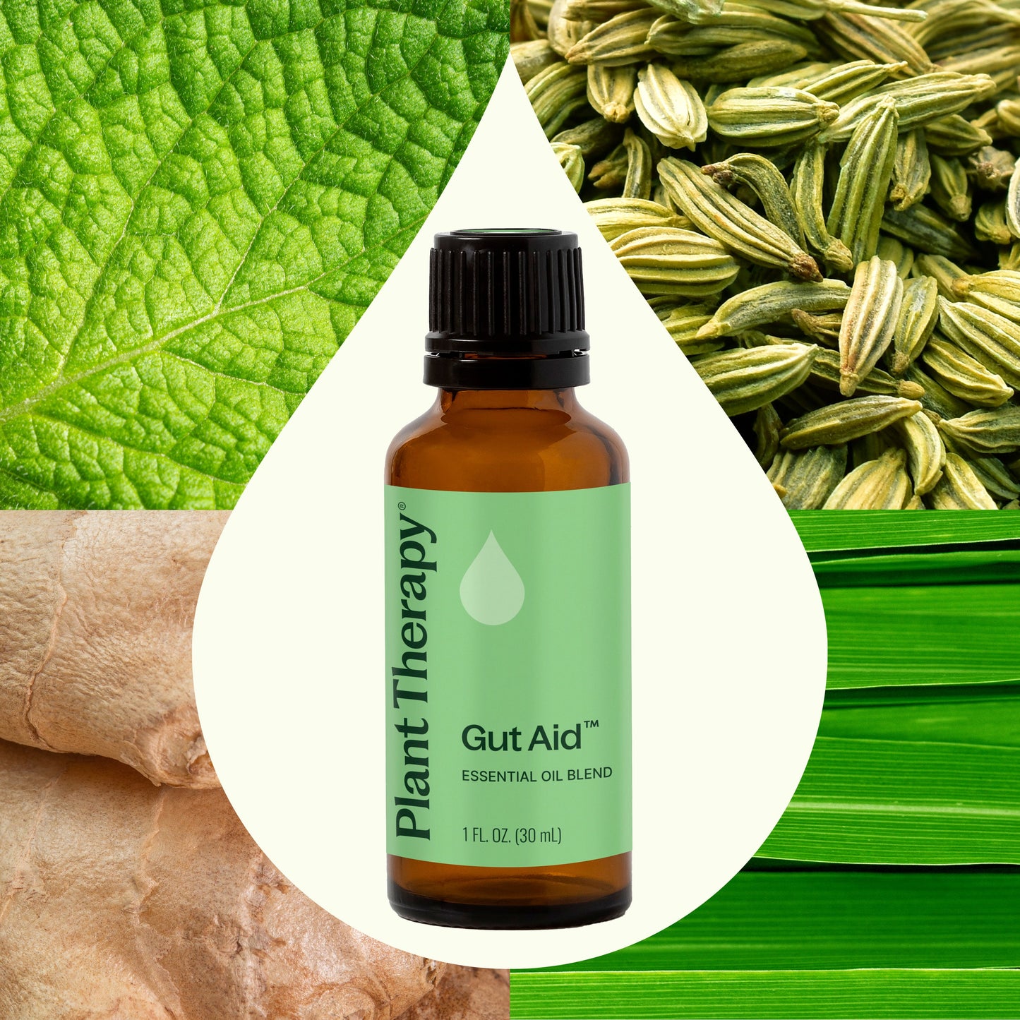 Mezcla de aceites esenciales Gut Aid™