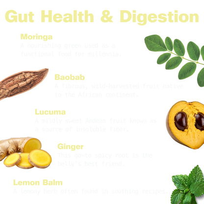 Gut Bliss for Digestive Support