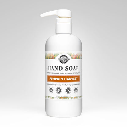 Hand Soap | Pumpkin Harvest