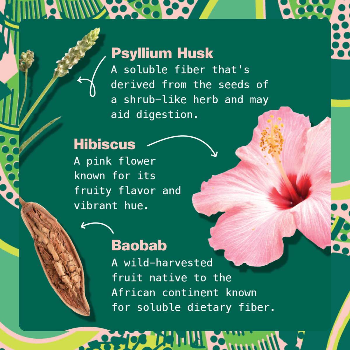 Hibiscus Berry Latte for Gut Health