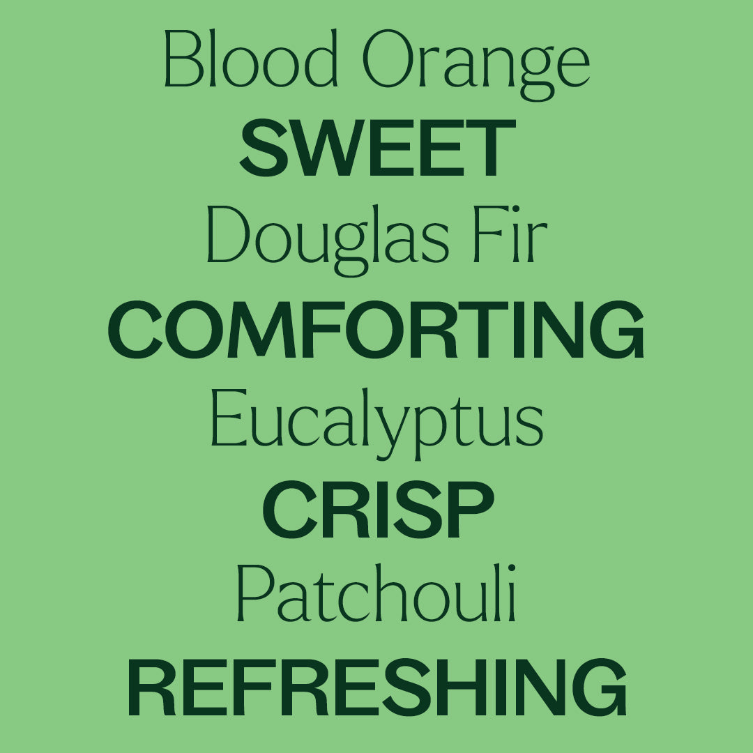 Holly Berries® Essential Oil Blend