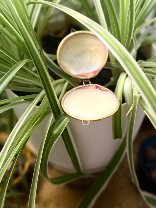 New Item! Prickly Pear Magnolia Restorative Body Balm