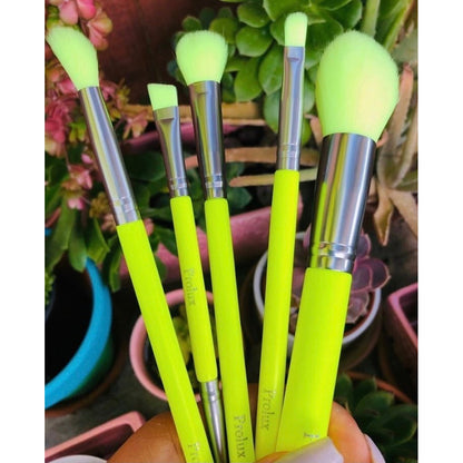Deluxe 5 Piece Neon Brush Set