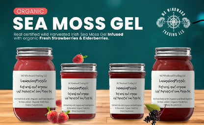 Black Seed Oil and Oregano Infused Organic Sea Moss Gel