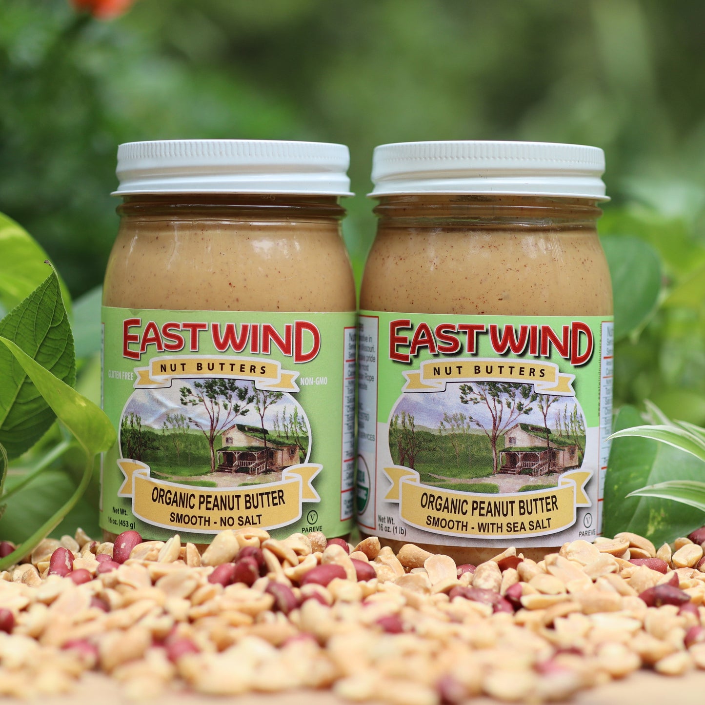 Organic Valencia Peanut Butter