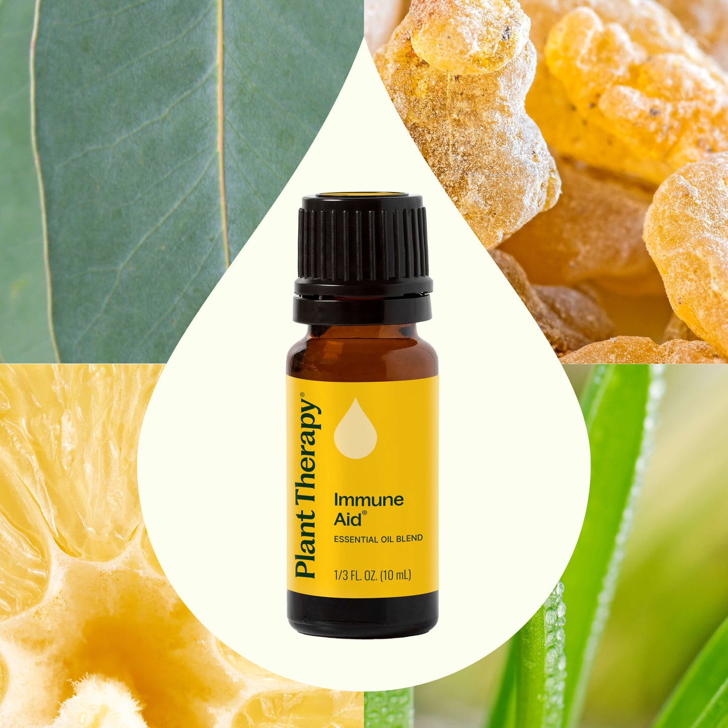 Mezcla de aceites esenciales Immune Aid