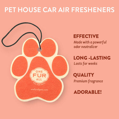 Juicy Melon Car Air Freshener