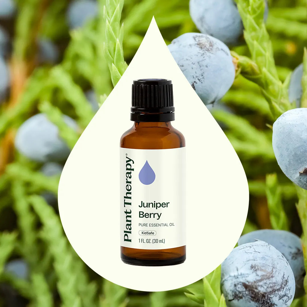 Aceite esencial de bayas de enebro
