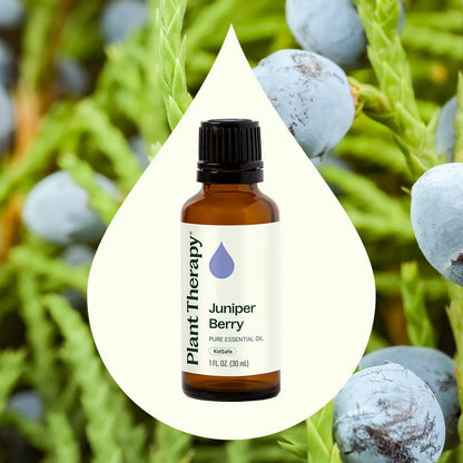 Aceite esencial de bayas de enebro