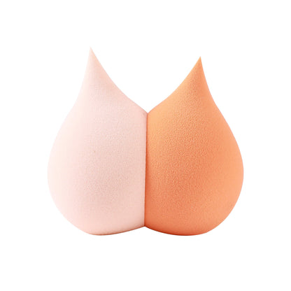 2 in 1 Cat Sponge Set