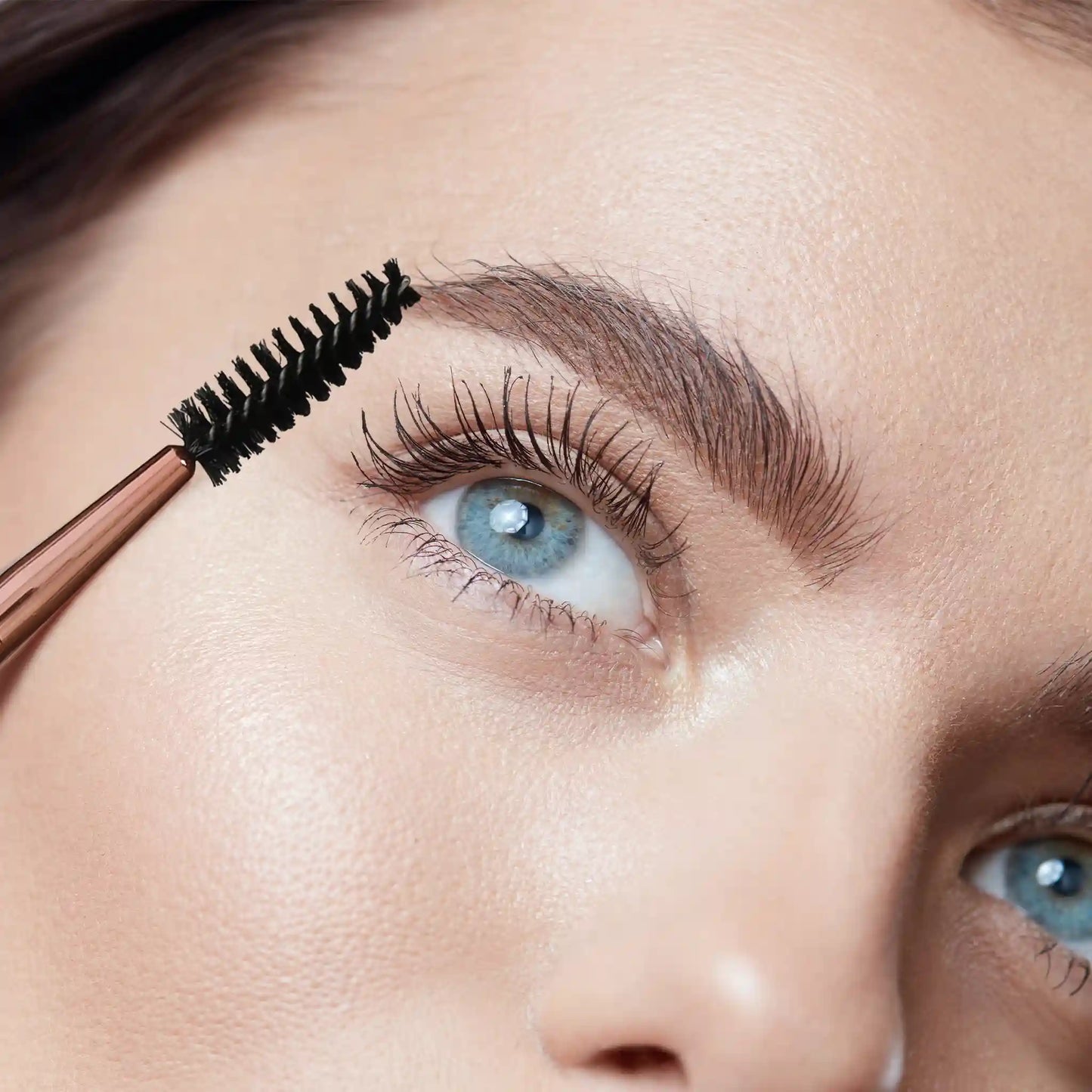Eyebrow Makeup Kits | 8 Shade Brow Palette with Brush