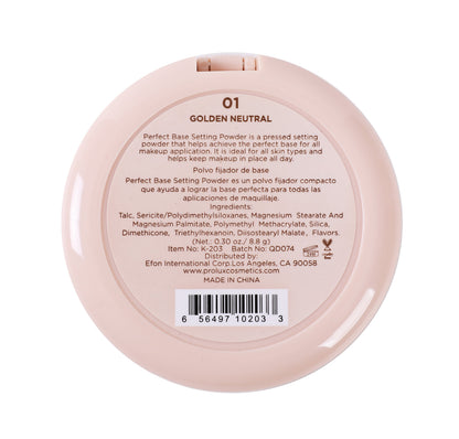 Perfect Base Setting Powder