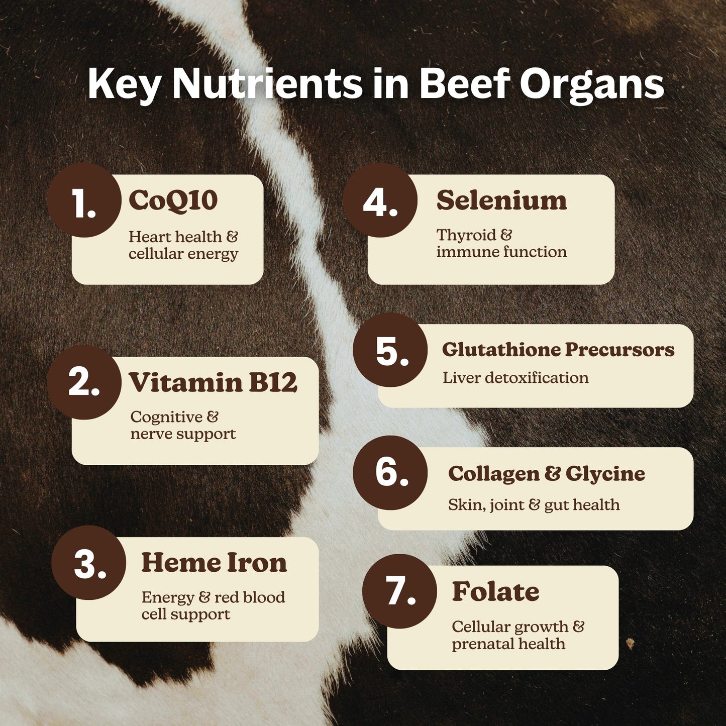 Beef Organs