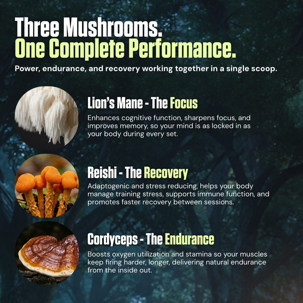 Kinetic™ - Mushroom Enhanced Pre-Workout
