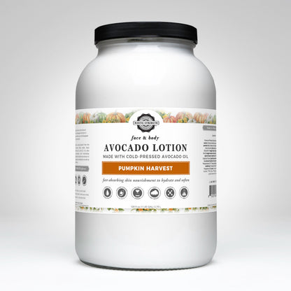 Avocado Lotion | Pumpkin Harvest