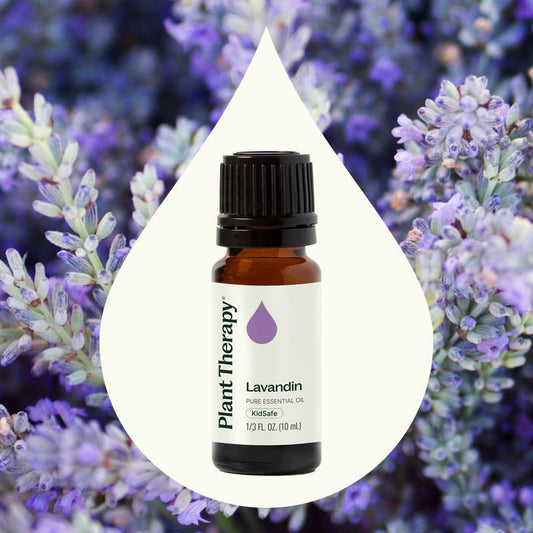 Lavandin Essential Oil