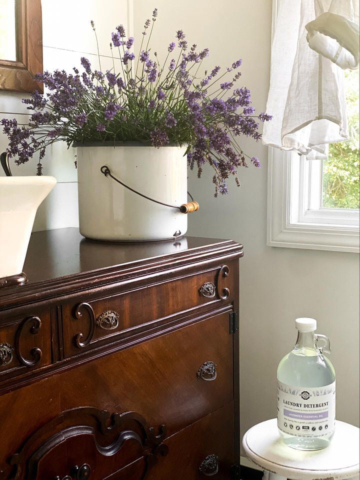 Laundry Detergent | Lavender