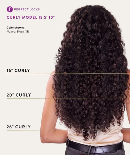 Curly U-Part Wig
