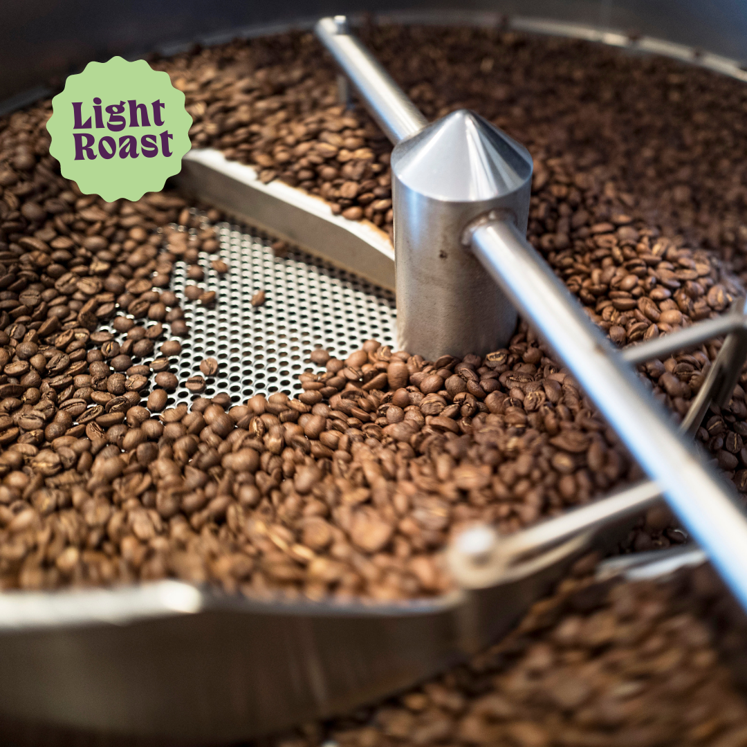 Lil' Red | Café descafeinado de origen único | Colombia | Proceso de agua suizo descafeinado