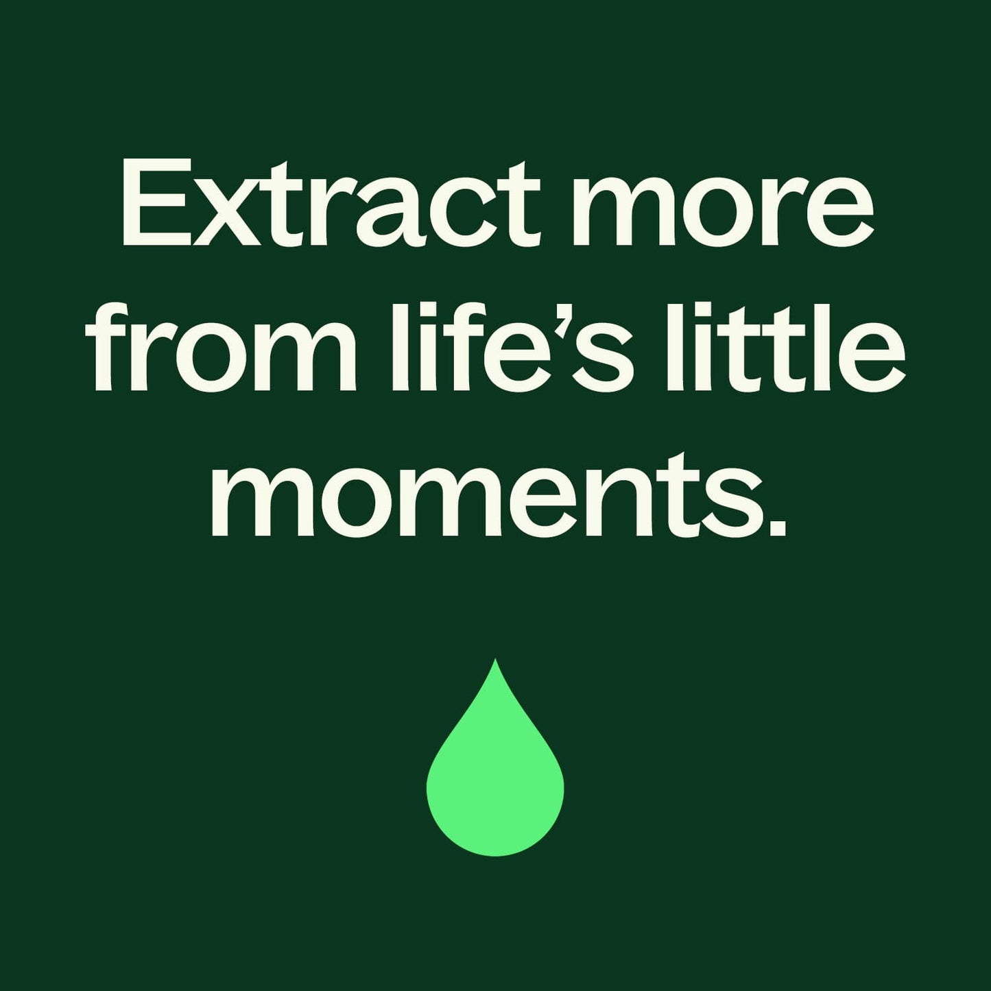 Lime Twist Essential Oil Blend