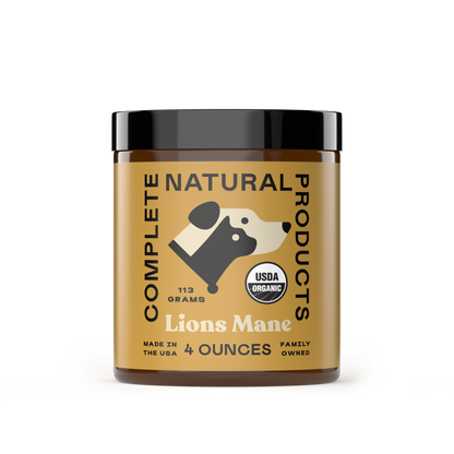 Polvo de hongo melena de león orgánico