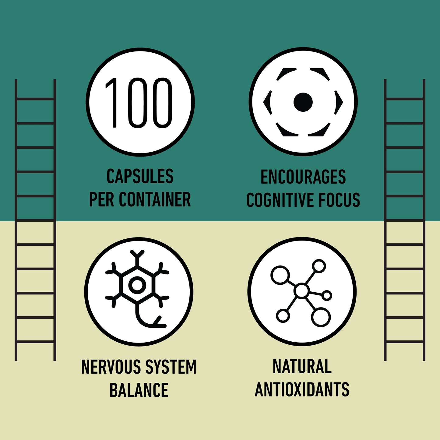 Organic Lion's Mane Capsules