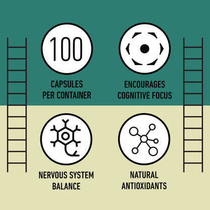 Organic Lion's Mane Capsules