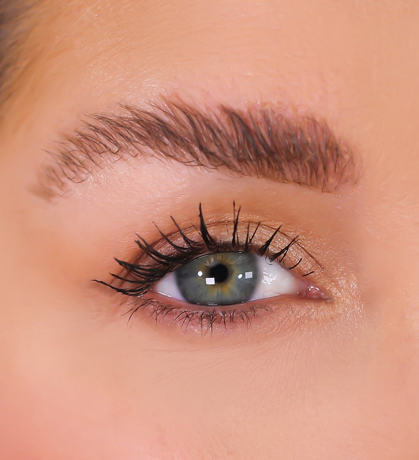 3D Mink Eyelashes - Monica