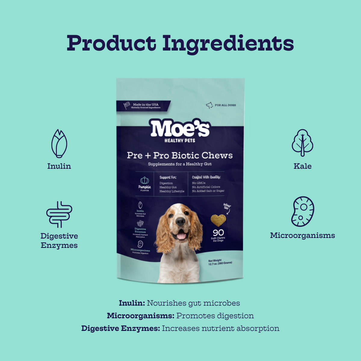 Pre + Pro Biotic Chews