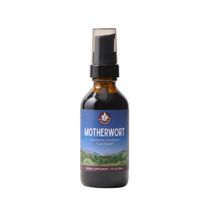 Motherwort