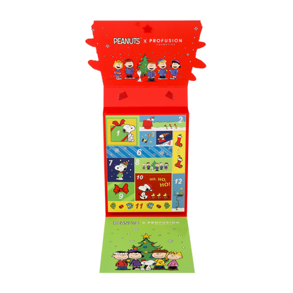 Peanuts Holiday | 12 Days of Advent Calendar