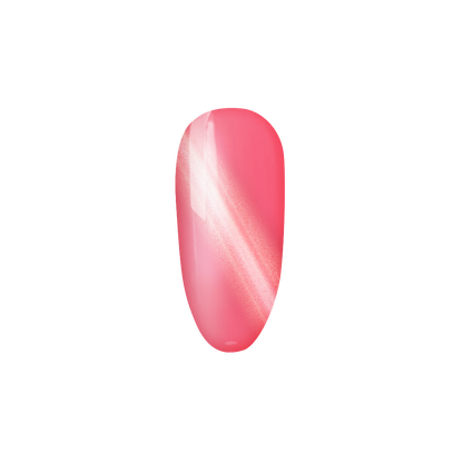 Clima acogedor