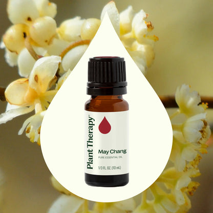 Aceite esencial de May Chang
