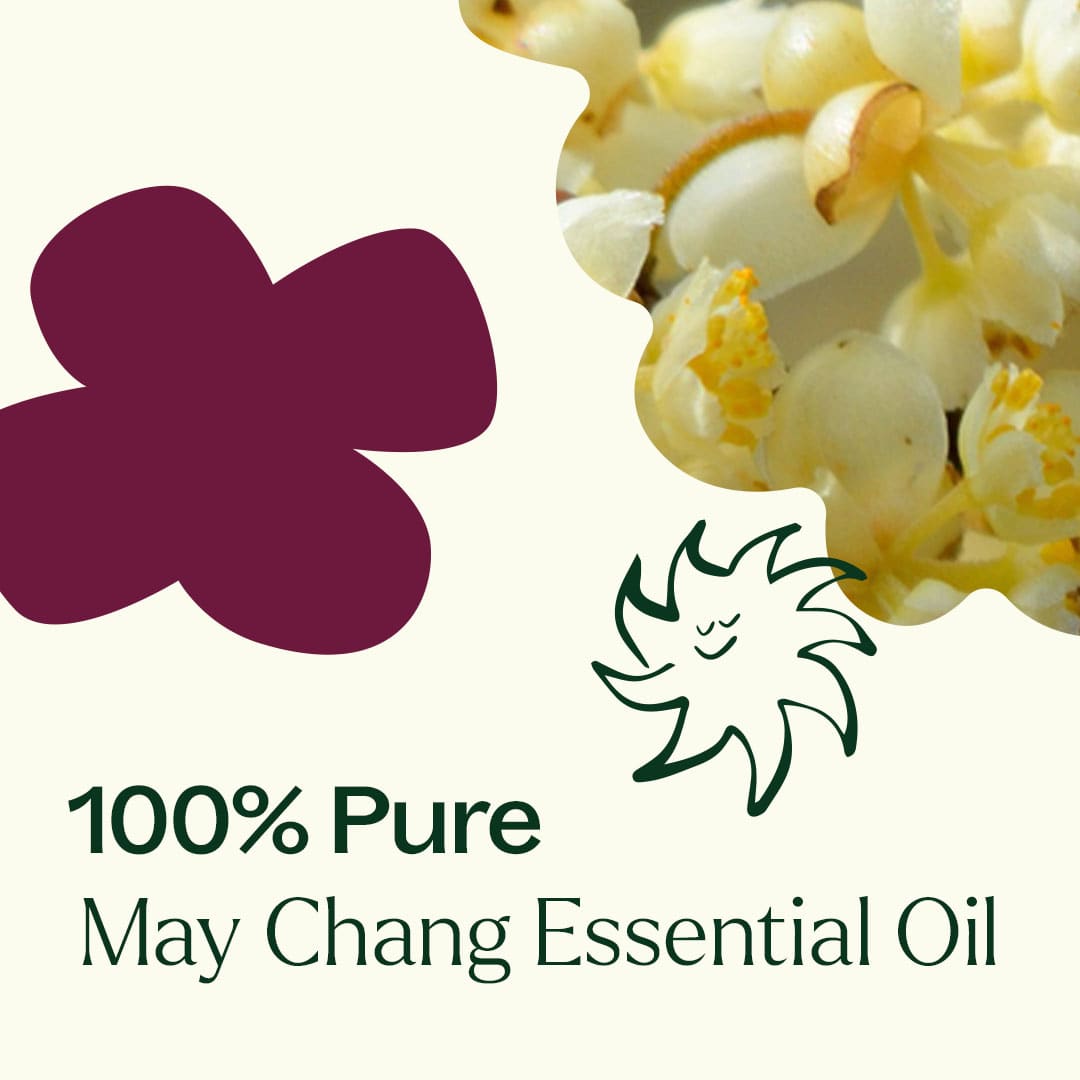 Aceite esencial de May Chang