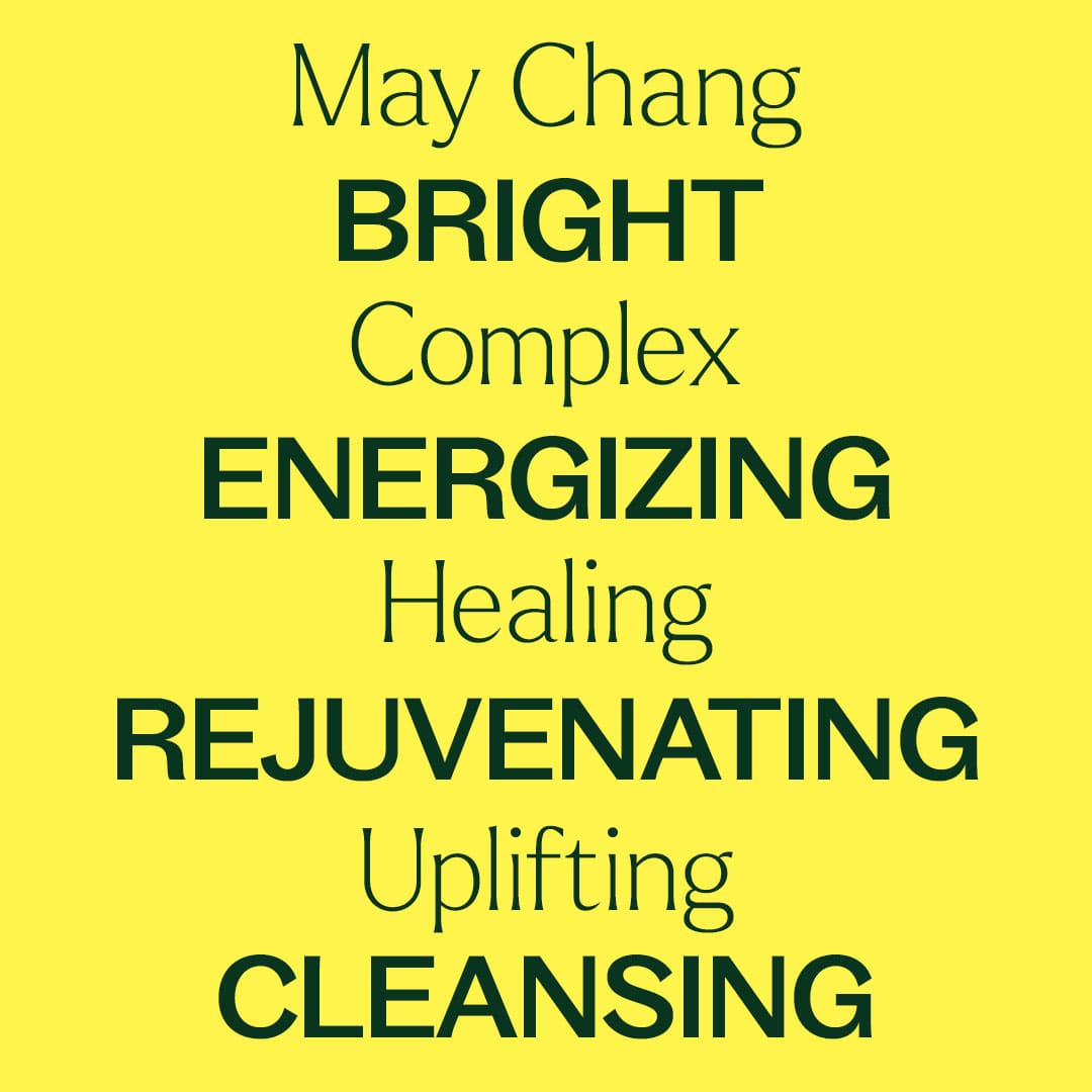 Aceite esencial de May Chang