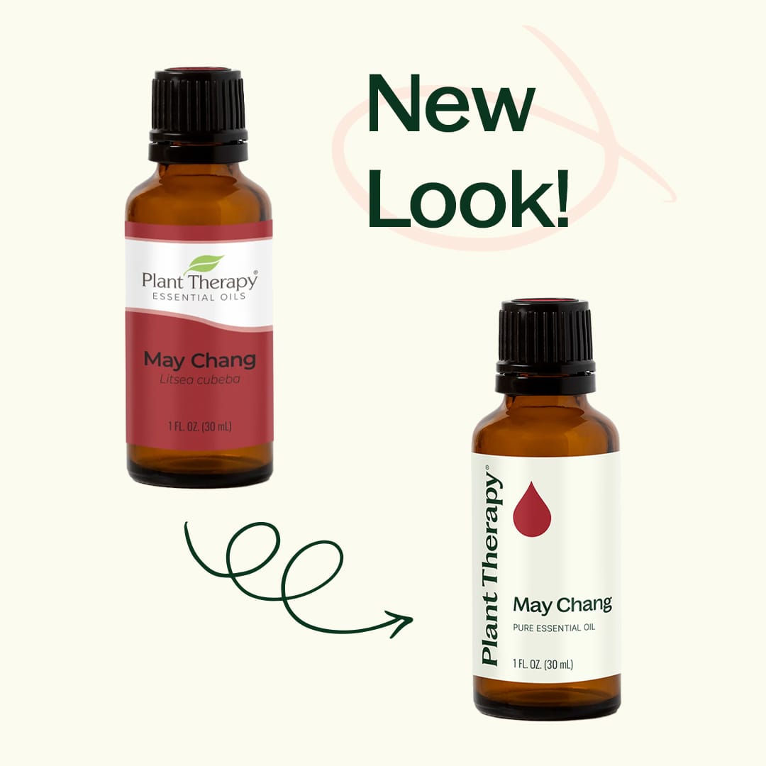 Aceite esencial de May Chang