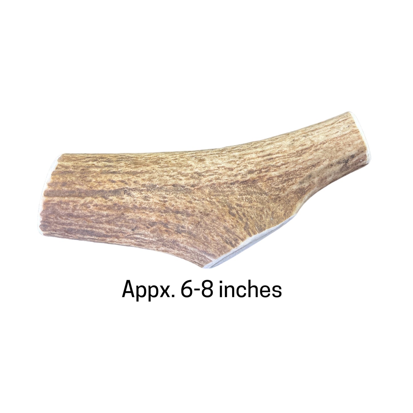 Elk Antlers