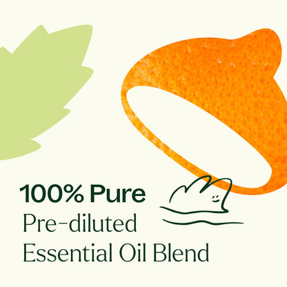 Mélange d'huiles essentielles anti-mal des transports – Roll-on prédilué