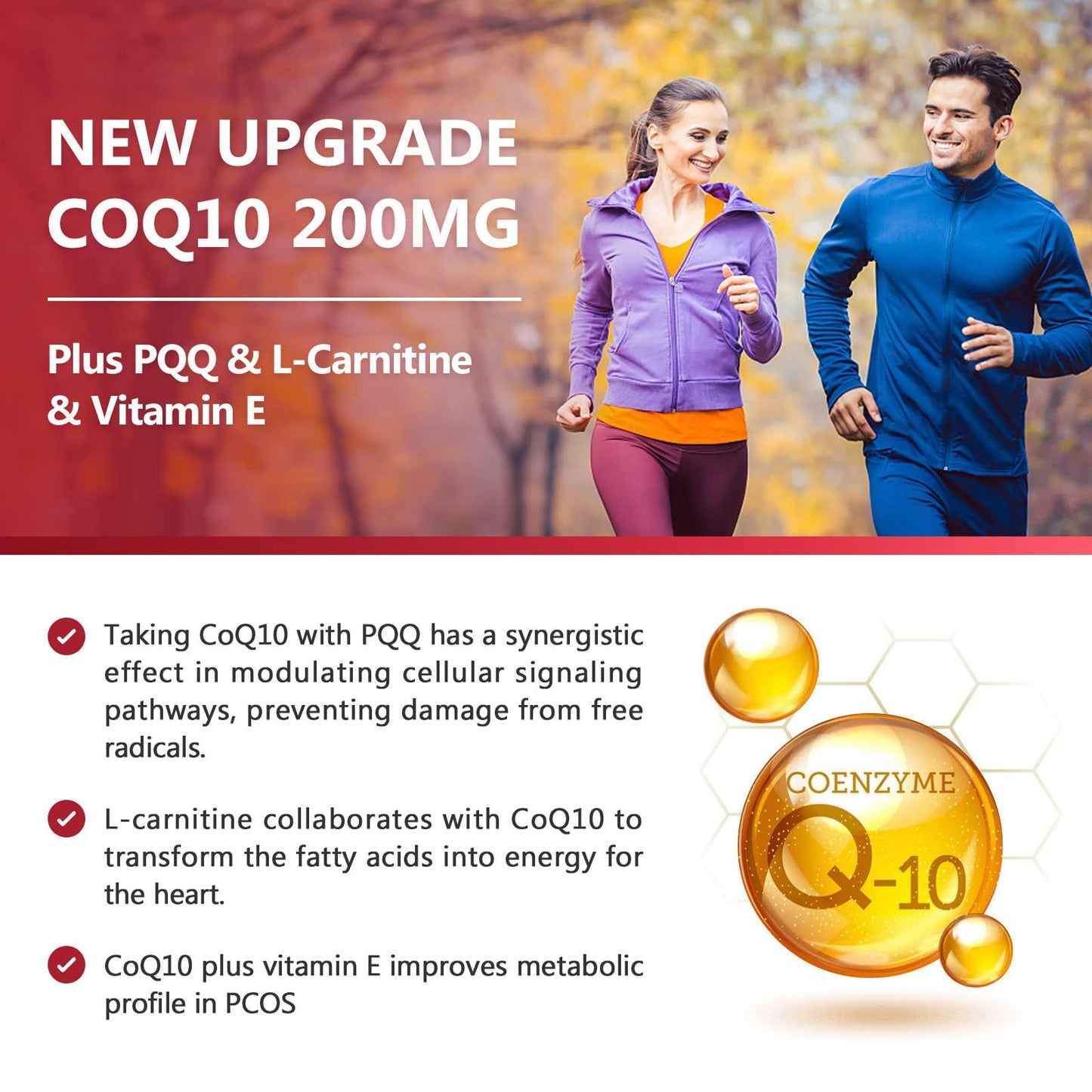 CoQ10 + PQQ + L-Carnitine, 200mg, 120 Softgels
