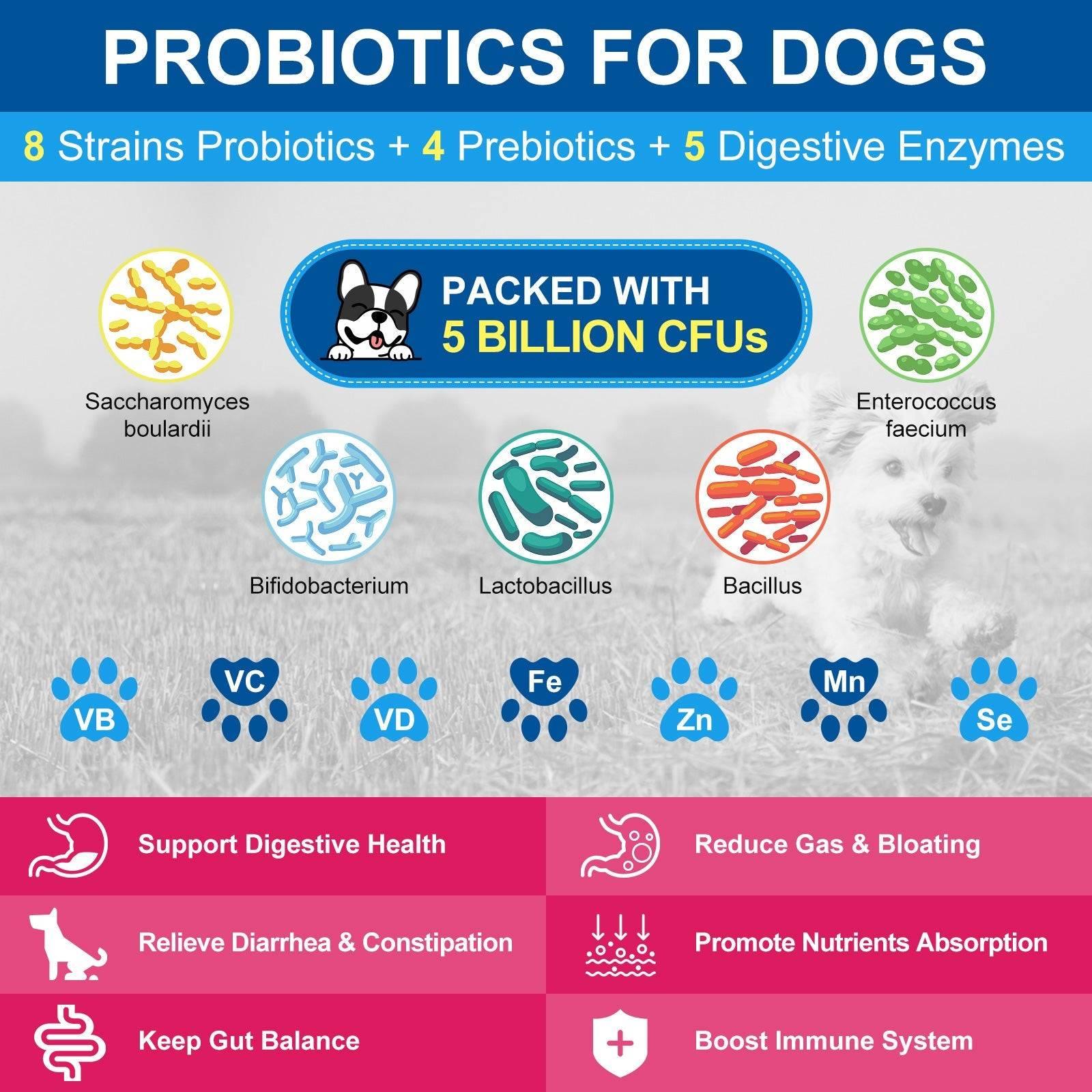 10-in-1 Vitamins for Dog & Cat, 5 Billion CFUs, 90 Scoops